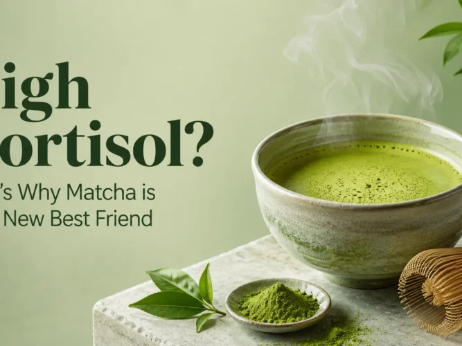 High cortisol? Try matcha therapy